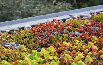the cost of Codsall green roof installation