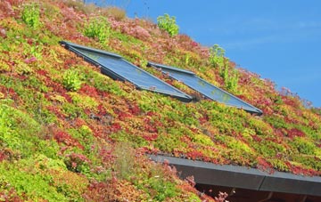 Codsall living roof systems