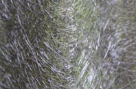 Codsall fibreglass roof work